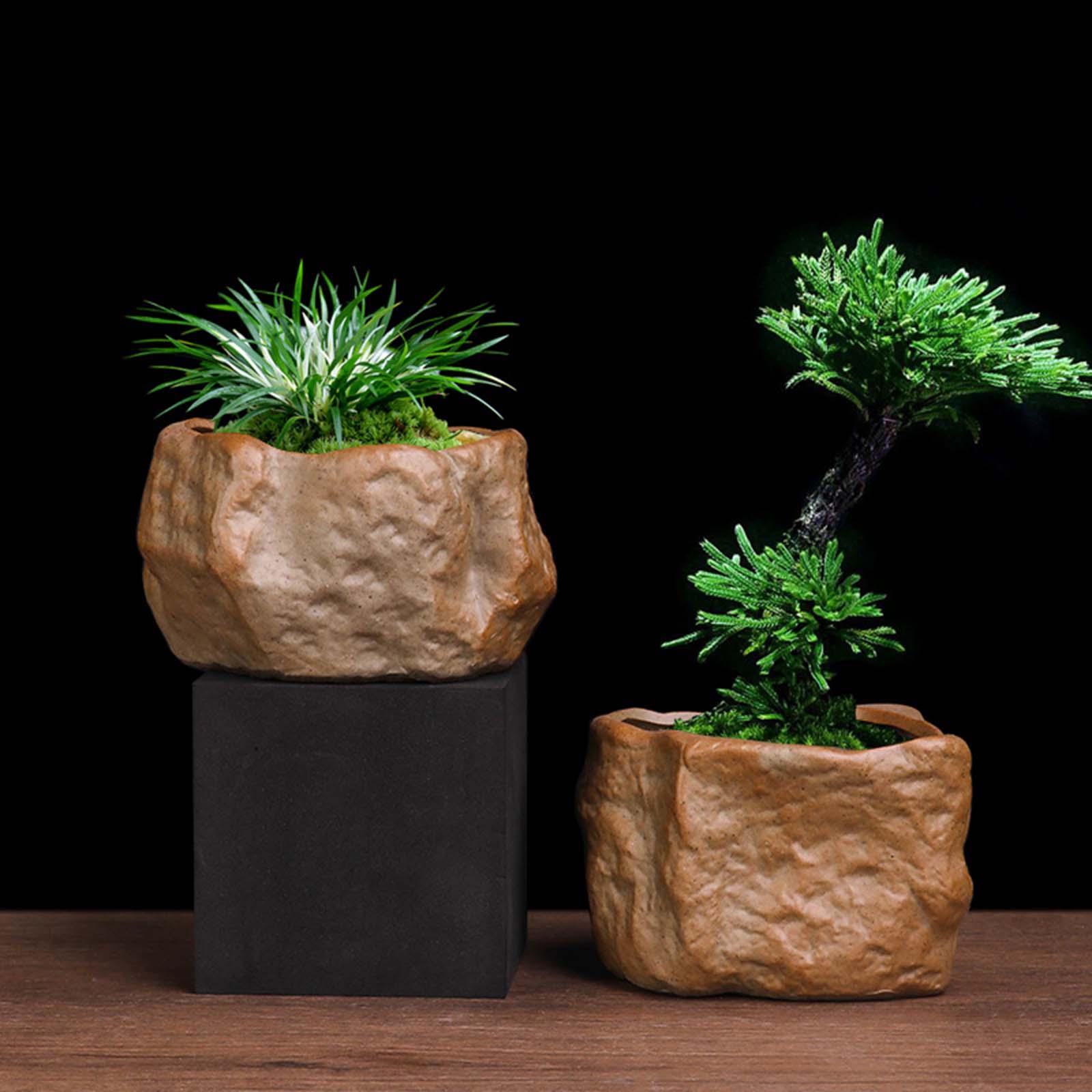 Training Pot Ceramic - セラミック製多肉植物鉢 軽量プランター 排水穴付き 盆栽育成鉢 庭 パティオ