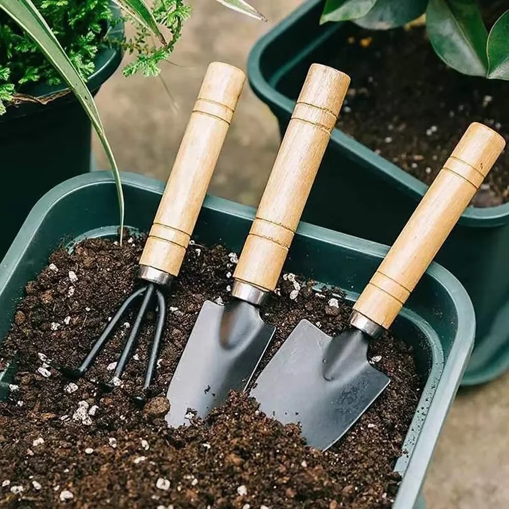 Soil Scoop Tool - 3 ピース/セットミニガーデンツールセット庭の植物用植木鉢サボテン野菜掘り起こし除草屋内小型植物ガーデンツール