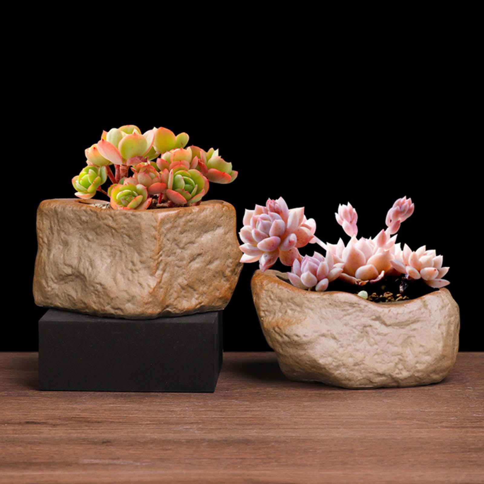 Training Pot Ceramic - セラミック製の多肉植物用鉢。耐摩耗性に優れた石の形をした、丈夫な鉢。家庭用、パティオ、テーブル、ホリデーガーデンでの盆栽育成に最適。