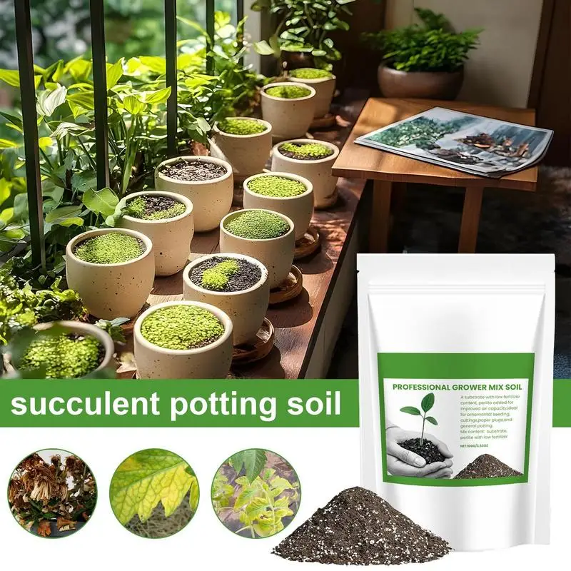 多肉植物用土壌混合物、通気性のある盆栽用土、携帯用園芸用品、 - Us Bonsai Garden のレビューと価格