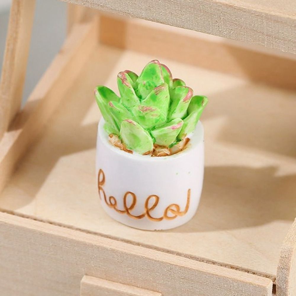 新しい 1:12 ドールハウスミニチュア鉢植え植物マルチスタ - Bonsai Garden China のレビューと価格