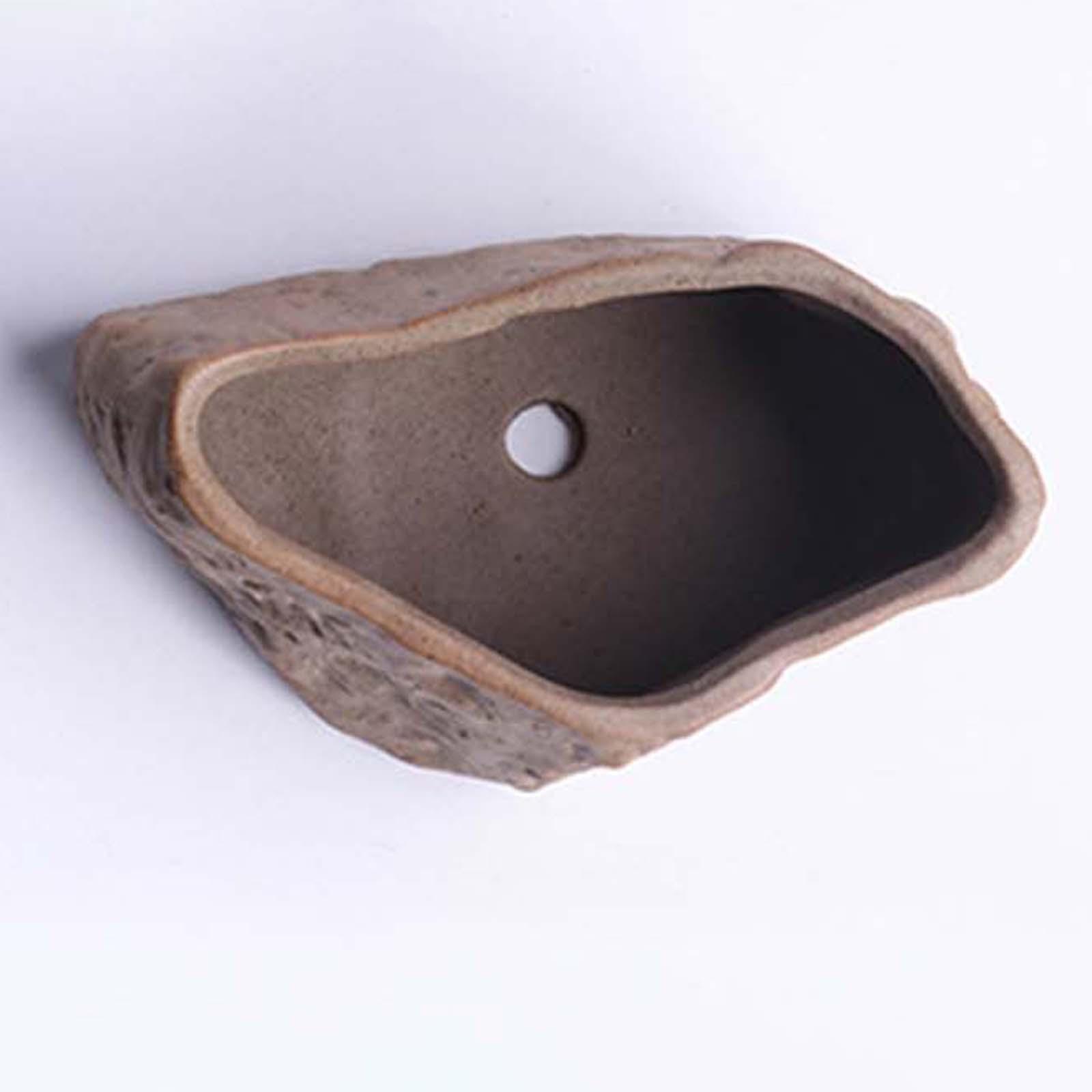 セラミック製多肉植物鉢 軽量プランター 排水穴付き 盆栽育成 - Training Pot Ceramic のレビューと価格