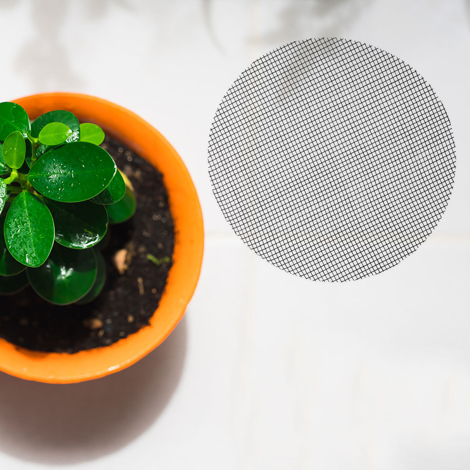 50枚入り 花鉢穴用メッシュパッド 丸型排水ネット プラスチ - Us Bonsai Garden のレビューと価格