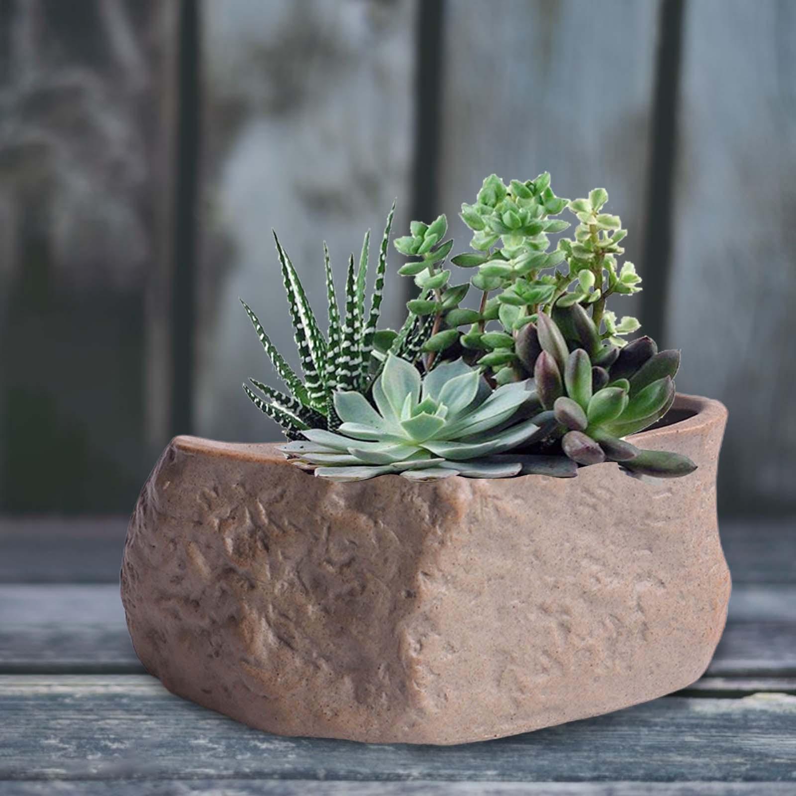 セラミック多肉植物ポット軽量盆栽トレーニングポットサボテンプ - Training Pot Ceramic のレビューと価格