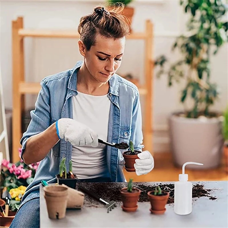 5点セットのガーデンプランターキット。多肉植物用の道具、ミニ - Bonsai Tool Set のレビューと価格