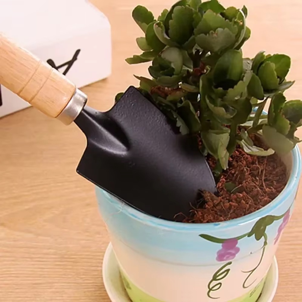 3 ピース/セットミニガーデンツールセット庭の植物用植木鉢サ - Soil Scoop Tool のレビューと価格