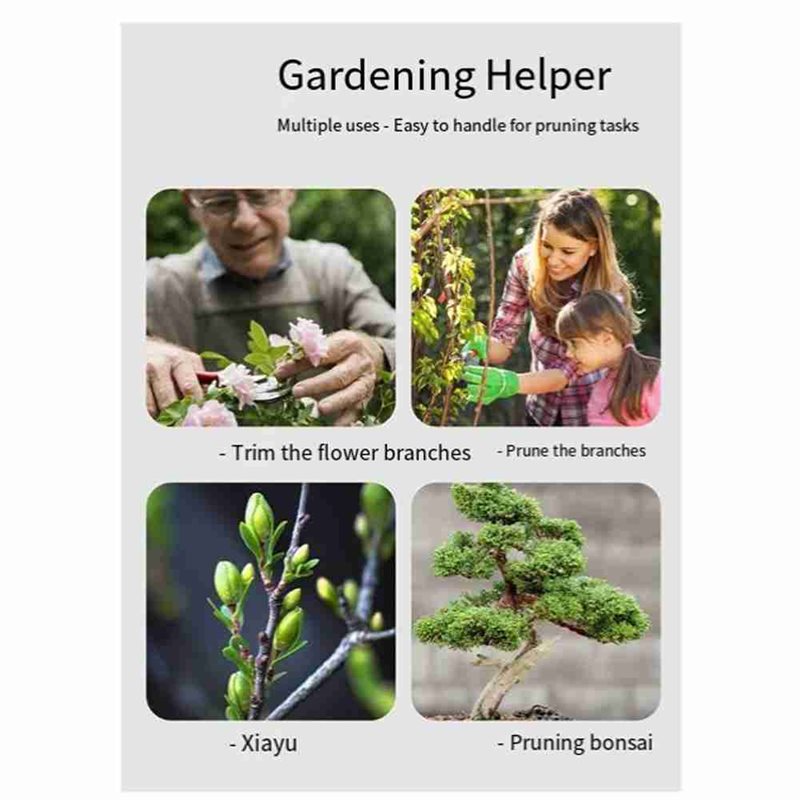 ALIM-盆栽ツール、4ピース盆栽ツールセット-ナイフカッタ - Bonsai Tool Set のレビューと価格