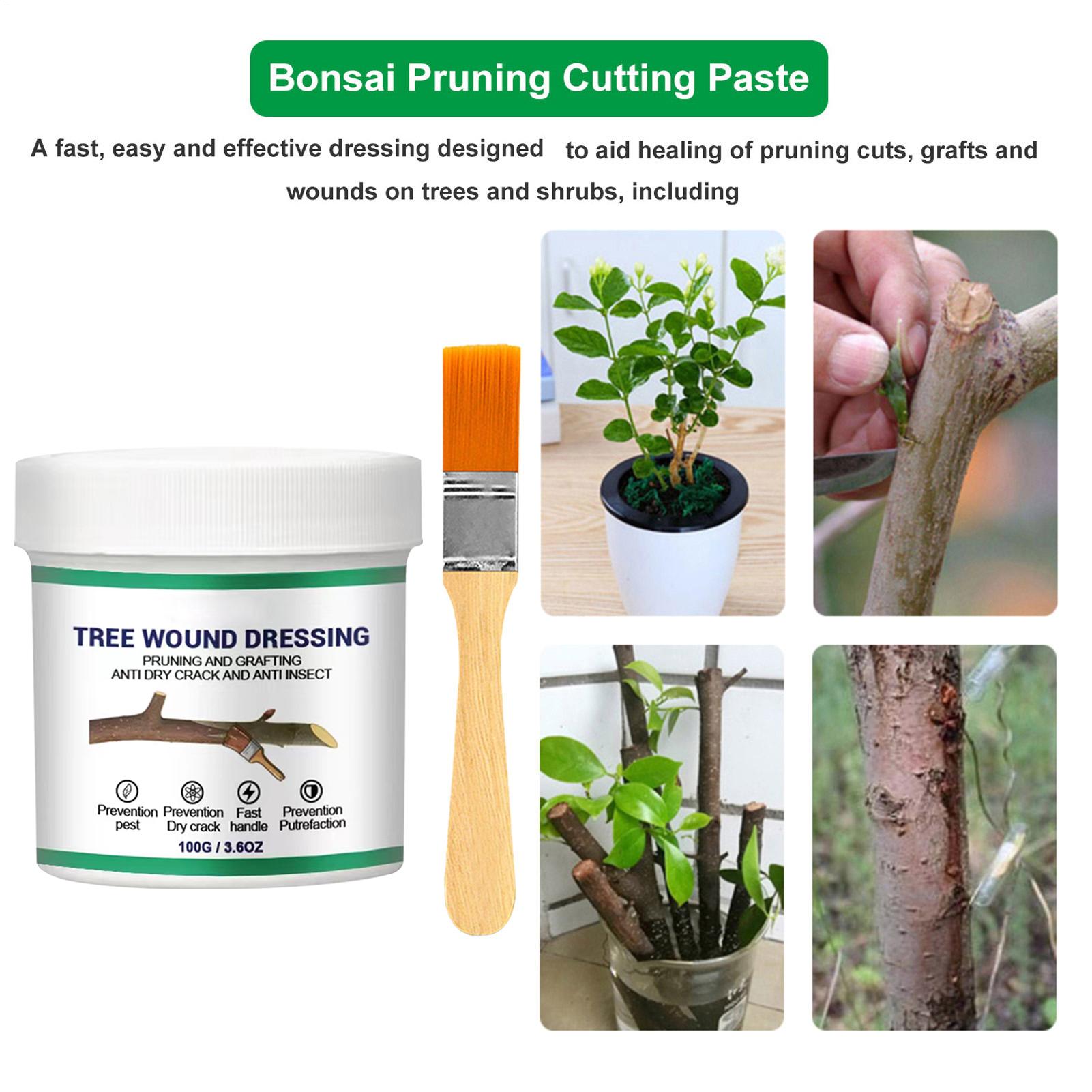 100g 木の傷口用剪定シーラー 剪定シーラー 木の庭用植物 - Us Bonsai Garden のレビューと価格