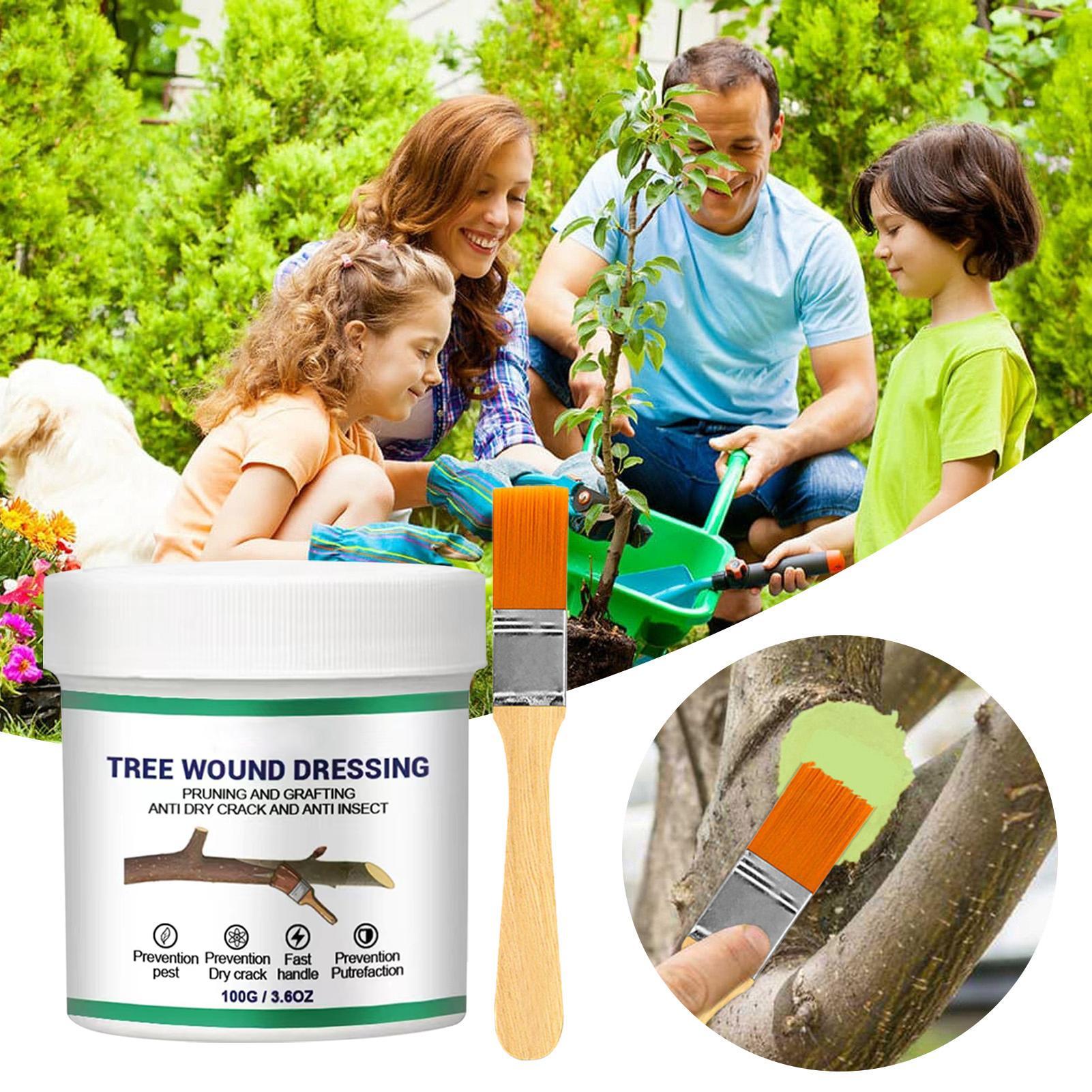 100g 木の傷口用剪定シーラー 剪定シーラー 木の庭用植物 - Us Bonsai Garden のレビューと価格