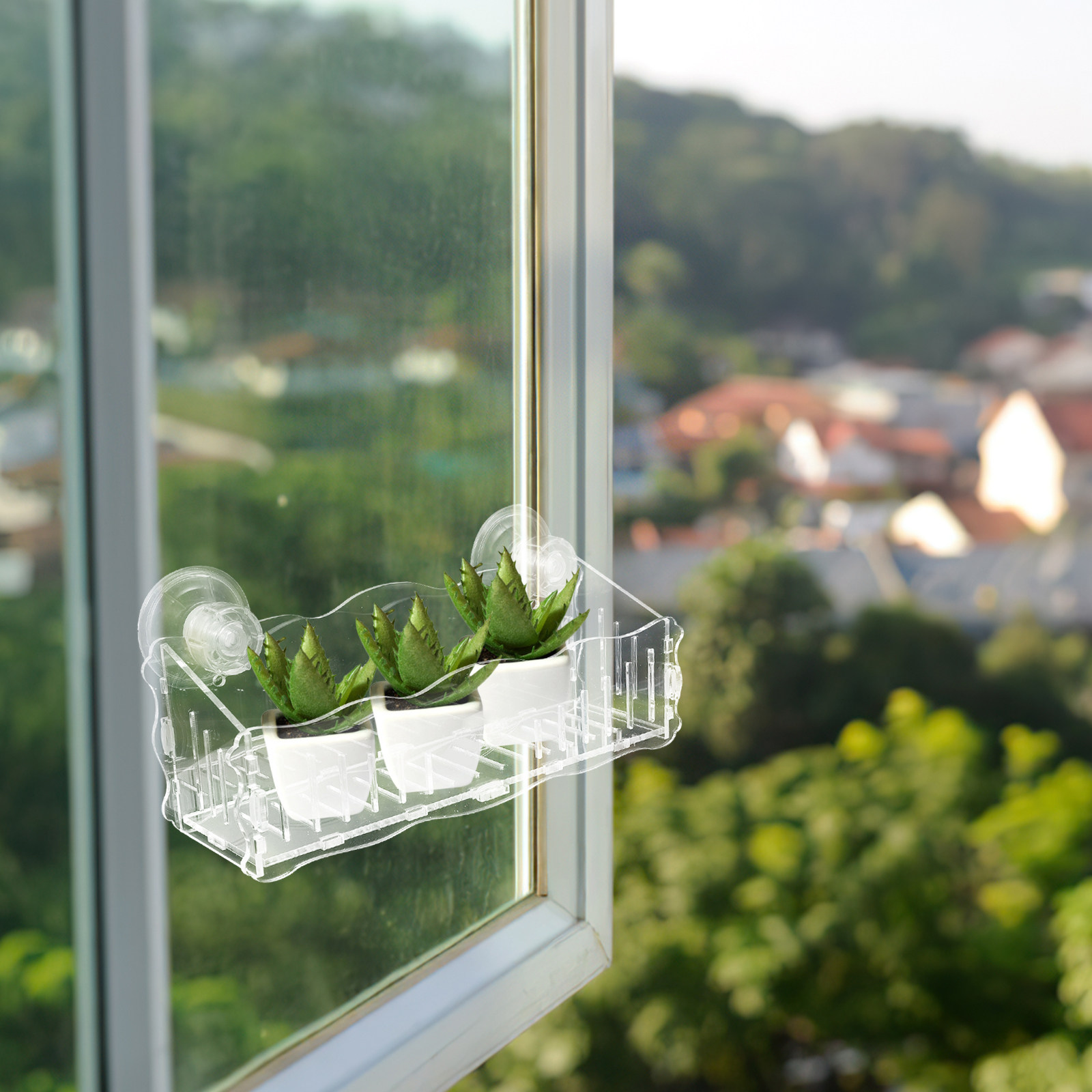 吸盤式の植物用棚、アクリル製透明盆栽スタンド。縦型ガーデン、 - Us Bonsai Garden のレビューと価格