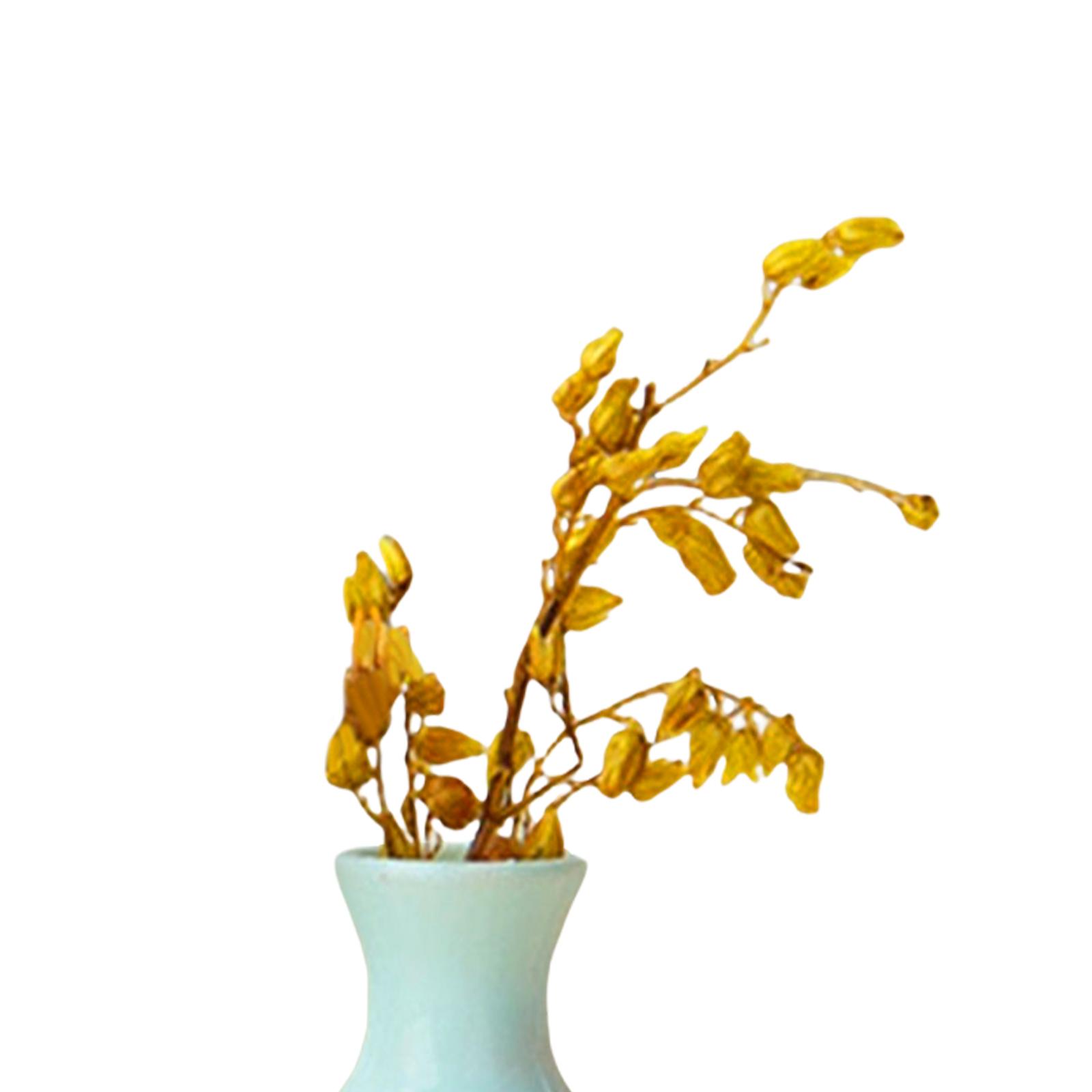 リアルなミニチュア花瓶モデル。ドールハウスや盆栽の装飾、マイ - Bonsai Garden China のレビューと価格